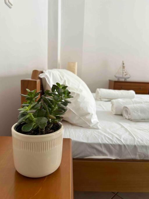 Cozy Studio In Skala, Agistri Apartment Екстериор снимка